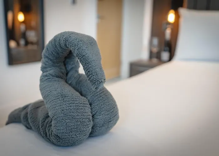 Bellevue Middlesborough Kwatera prywatna Middlesbrough